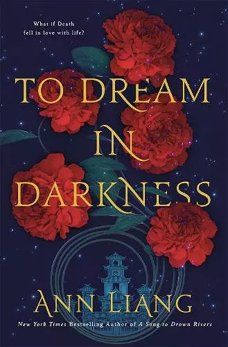 To Dream in Darkness cover