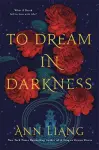 To Dream in Darkness cover
