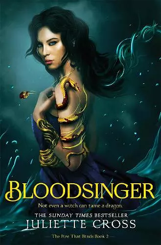 Bloodsinger cover