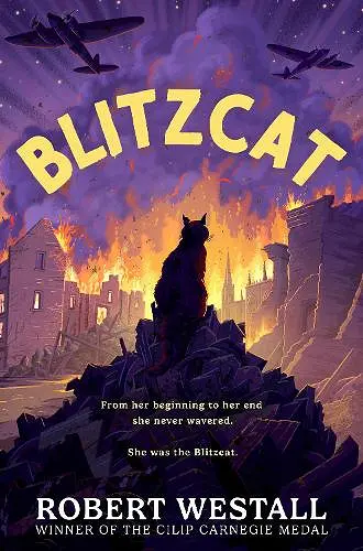 Blitzcat cover