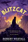 Blitzcat cover