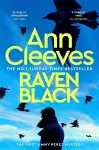 Raven Black cover