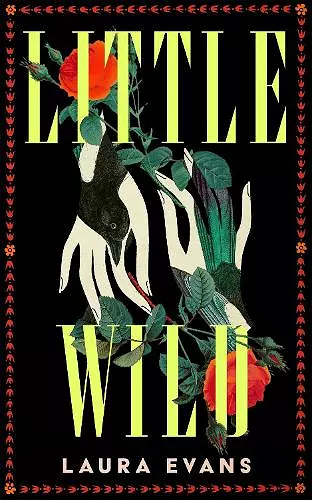 Little Wild cover