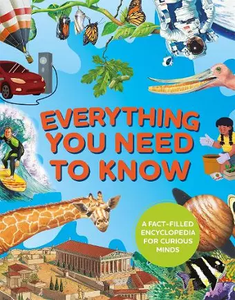 Everything You Need to Know cover