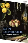 The Debt To Pleasure cover