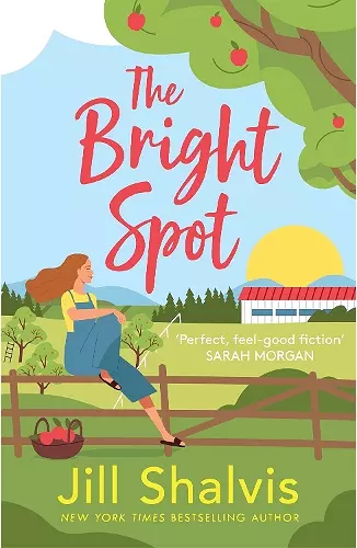 The Bright Spot cover