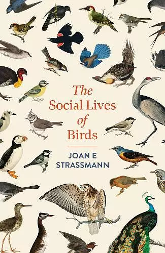 The Social Lives of Birds cover