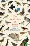 The Social Lives of Birds cover
