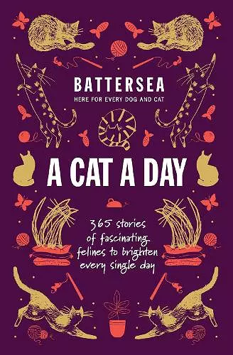 Battersea Dogs and Cats Home - A Cat a Day cover