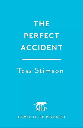 The Perfect Accident cover