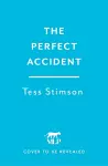 The Perfect Accident cover