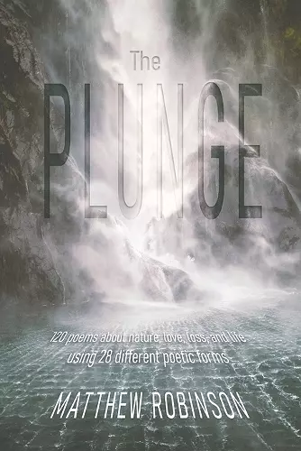 The Plunge cover