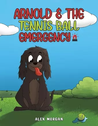 Arnold & The Tennis Ball Emergency cover