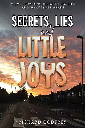 Secrets, Lies and Little Joys cover