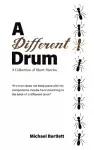 A Different Drum cover