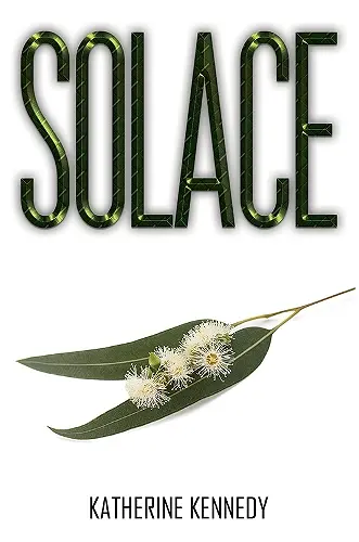 Solace cover