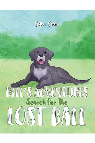 Bill’s Adventures: Search for the Lost Ball cover