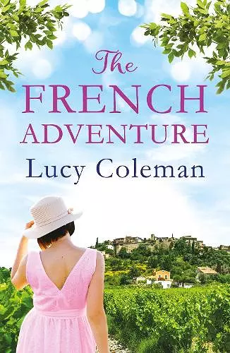 The French Adventure cover