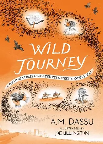 Wild Journey cover