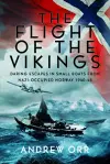 The Flight of the Vikings cover