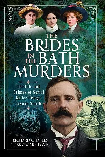 The Brides in the Bath Murders cover