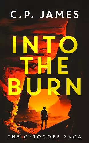 Into the Burn cover
