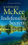 Indefensible Secrets cover