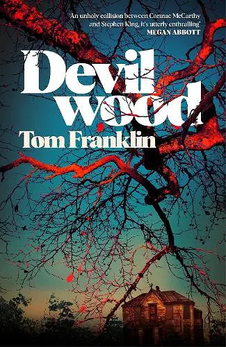 Devilwood cover