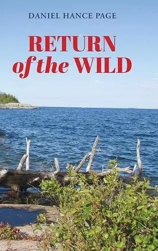 Return of the Wild cover