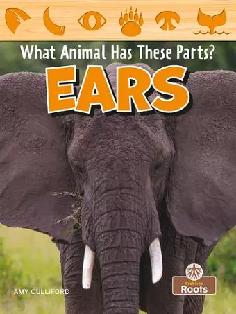 Ears cover