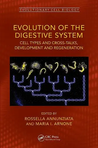Evolution of the Digestive System cover