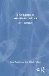 The Basics of American Politics cover