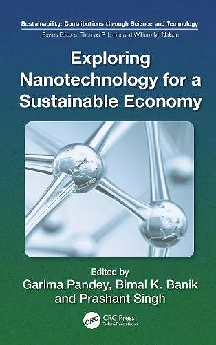Exploring Nanotechnology for a Sustainable Economy cover