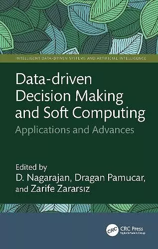 Data-driven Decision Making and Soft Computing cover