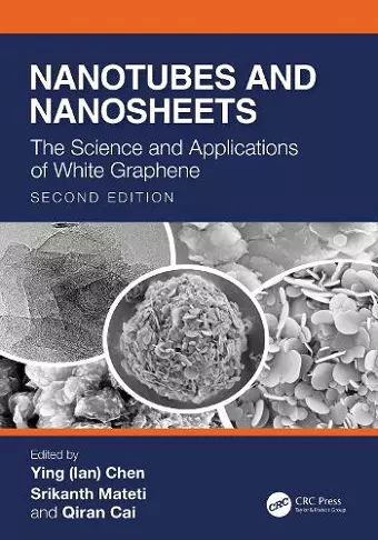 Nanotubes and Nanosheets cover