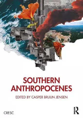 Southern Anthropocenes cover