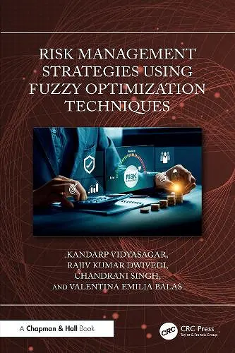 Risk Management Strategies Using Fuzzy Optimization Techniques cover