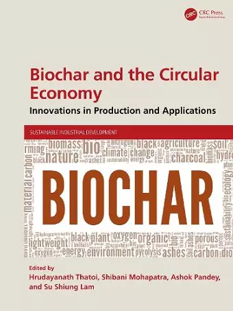 Biochar and the Circular Economy cover