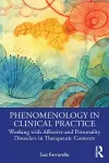 Phenomenology in Clinical Practice cover