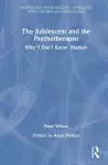 The Adolescent and the Psychotherapist cover