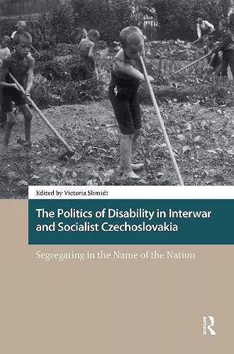 The Politics of Disability in Interwar and Socialist Czechoslovakia cover