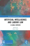 Artificial Intelligence and Labour Law cover
