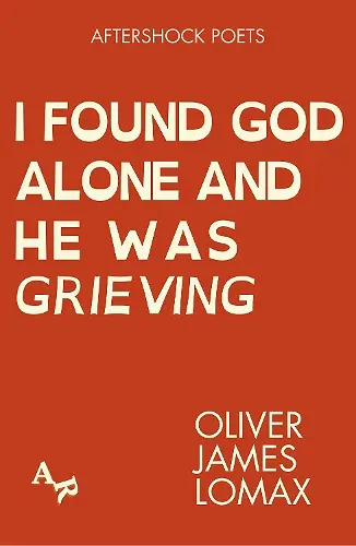 I Found God Alone and He Was Grieving cover