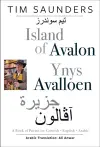 Island of Avalon / Ynys Avalloen cover