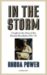 IN THE STORM cover
