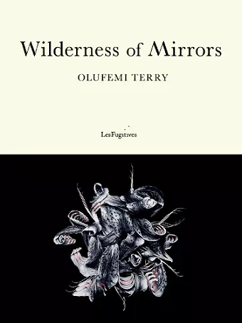 Wilderness of Mirrors cover