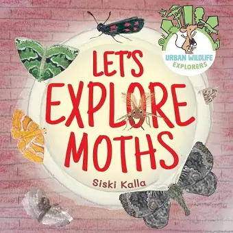 Let's Explore Moths cover