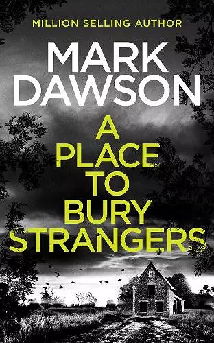 A Place to Bury Strangers cover