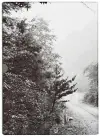 John Cage & William Gedney: Iris Garden cover