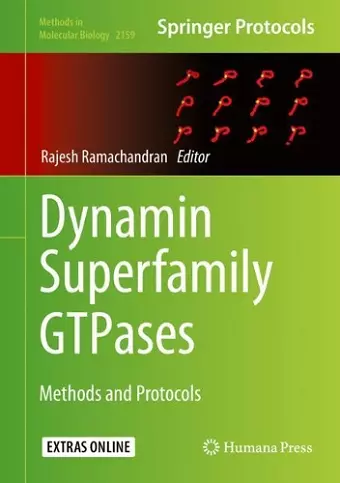 Dynamin Superfamily GTPases cover